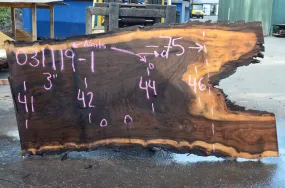 031119-01 Oregon Black Walnut Slab