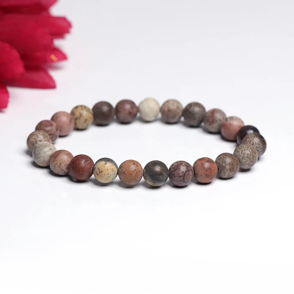 Certified Porcelain Jasper 8mm Natural Stone Bracelet