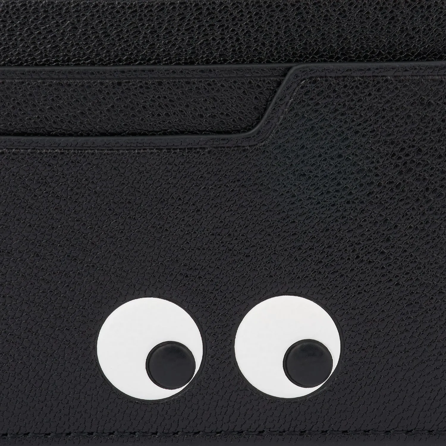 Eyes Card Case