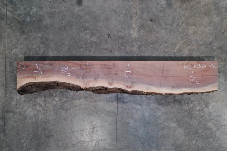 Oregon Black Walnut Mantle M070324-22