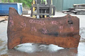 Oregon Black Walnut Slab 052220-05