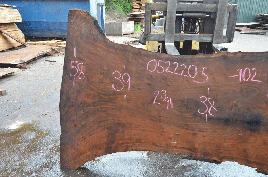 Oregon Black Walnut Slab 052220-05