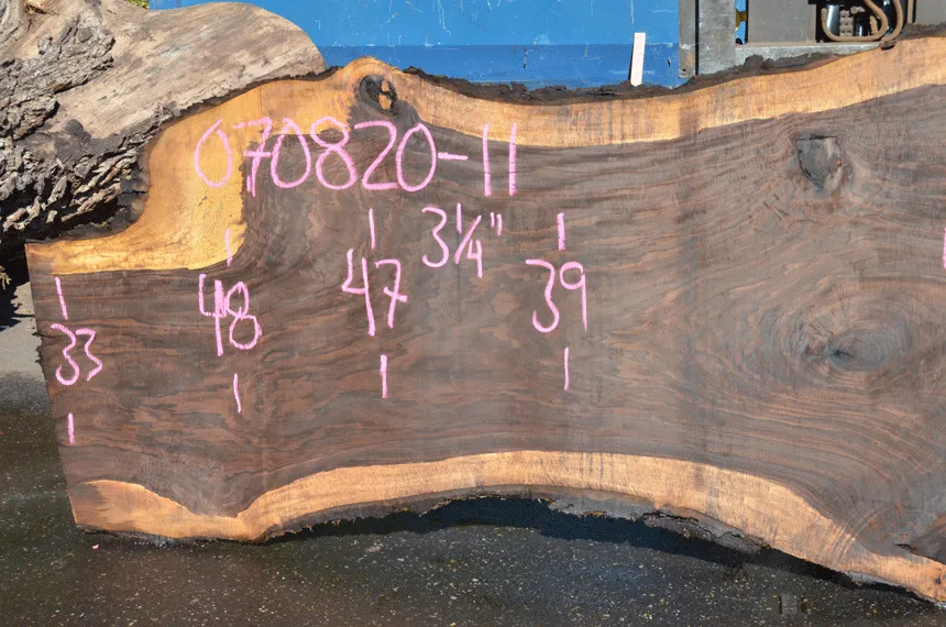 Oregon Black Walnut Slab 070820-11