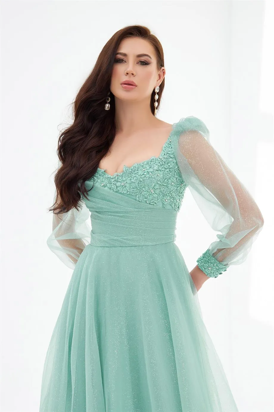 Çağla Glittery Tulle Front Embroidered Long Sleeve Engagement Dress